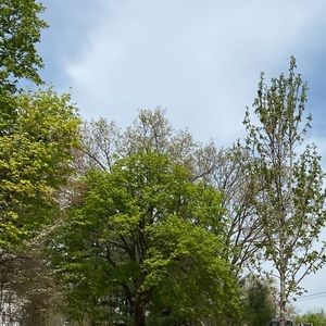 Meet your Posher, Blue